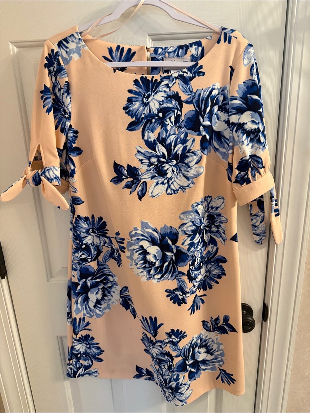 Floral Tie-Sleeve Shift Dress in Blush and Blue